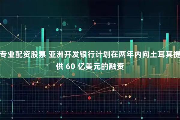 专业配资股票 亚洲开发银行计划在两年内向土耳其提供 60 亿美元的融资